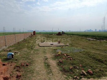 Plot For Resale in Phulwari Sharif Patna  7939912