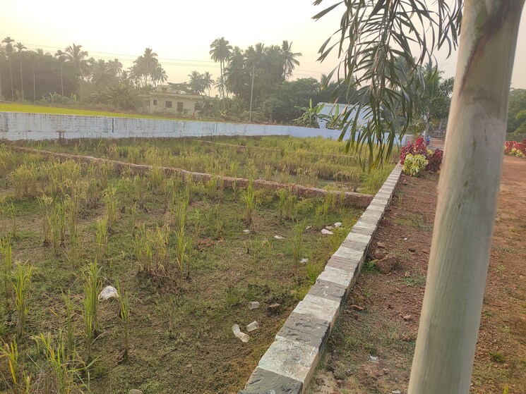 undefined, sunderpada  1500 Sq.Yd. Plot In Sunderpada Bhubaneswar 7939921