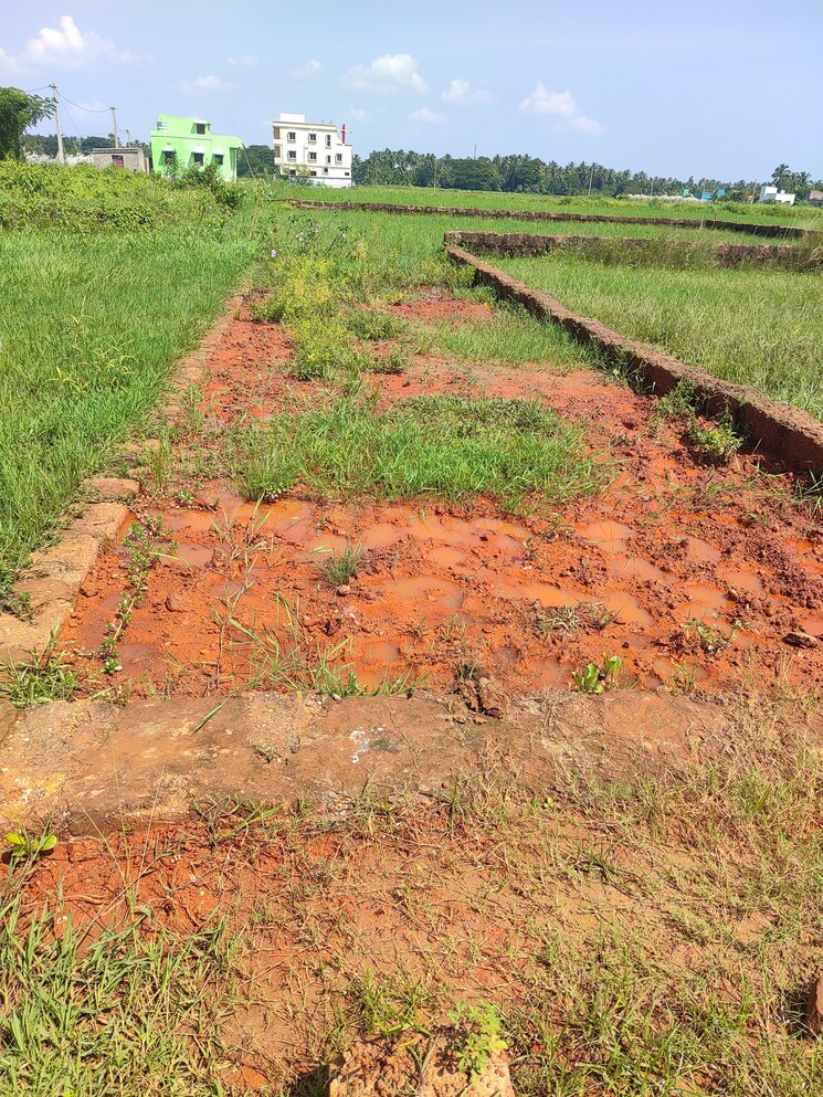 Garden, sunderpada  1500 Sq.Yd. Plot In Sunderpada Bhubaneswar 7939921
