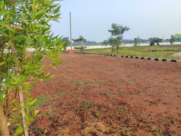 undefined, sunderpada  1500 Sq.Yd. Plot In Sunderpada Bhubaneswar 7939921