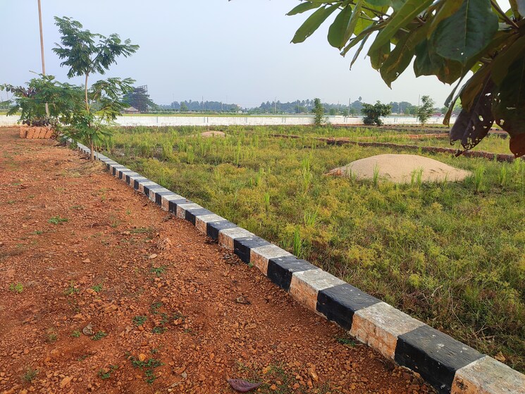 undefined, sunderpada  1500 Sq.Yd. Plot In Sunderpada Bhubaneswar 7939921