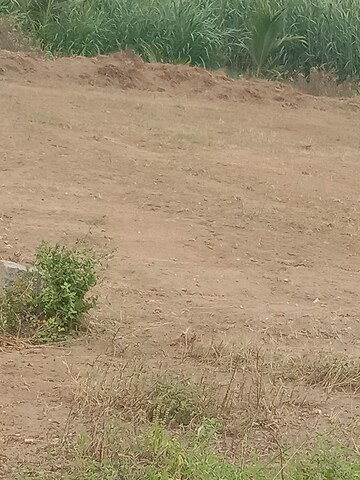 Plot Area in  Plot at Chettipalayam – for Sale