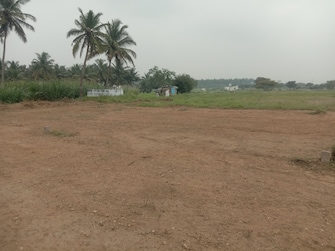 Plot For Resale in Chettipalayam Coimbatore  7939983