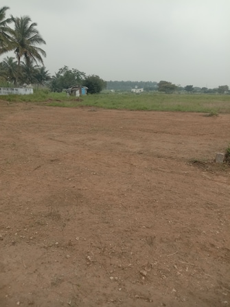 Plot For Resale in Chettipalayam Coimbatore  7939983