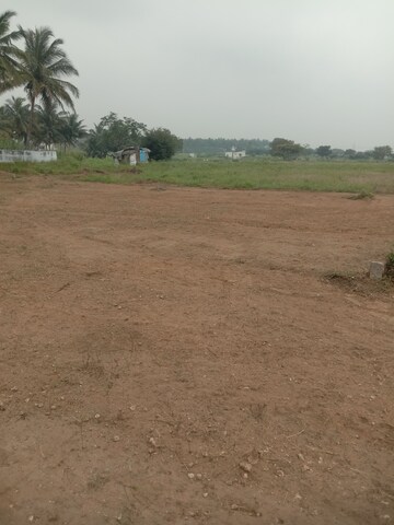 Plot Area in  Plot at Chettipalayam – for Sale