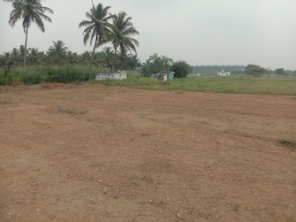 Plot For Resale in Chettipalayam Coimbatore  7939983