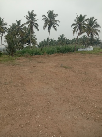 Plot For Resale in Chettipalayam Coimbatore  7939983