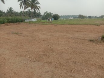 Plot For Resale in Chettipalayam Coimbatore  7939983