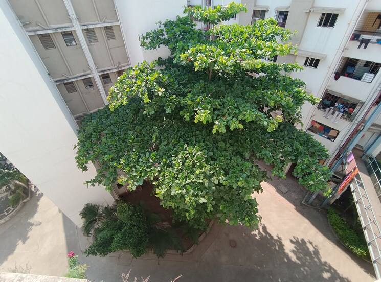 Master Plan, sara-city 1 Bedroom 557 Sq.Ft. Apartment In Chakan Pune 7940026