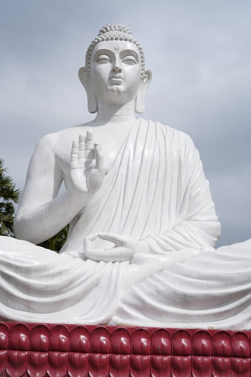 Plot For Sale in Bhogapuram