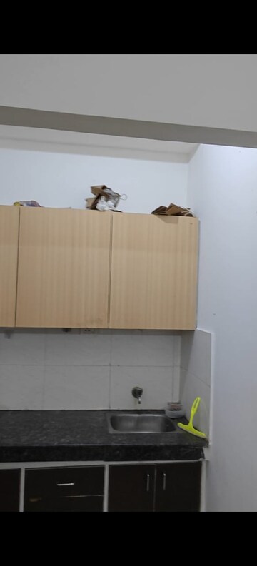 Furnished Amenities in 3.5 BHK Independent House at Sector 55 – for Rent