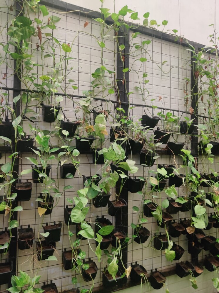 Balcony, today-elegancy 4 Bedroom 3000 Sq.Ft. Apartment In Palam Vihar Gurgaon 7940312