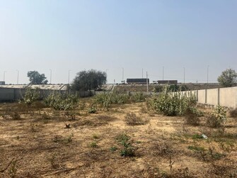 Commercial Land 1250 Sq.Mt. For Rent in Mahapura Jaipur  7940555