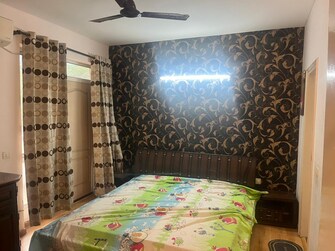 3 BHK Apartment For Rent in Bestech Park View Residency Sector 3 Gurgaon  7940619