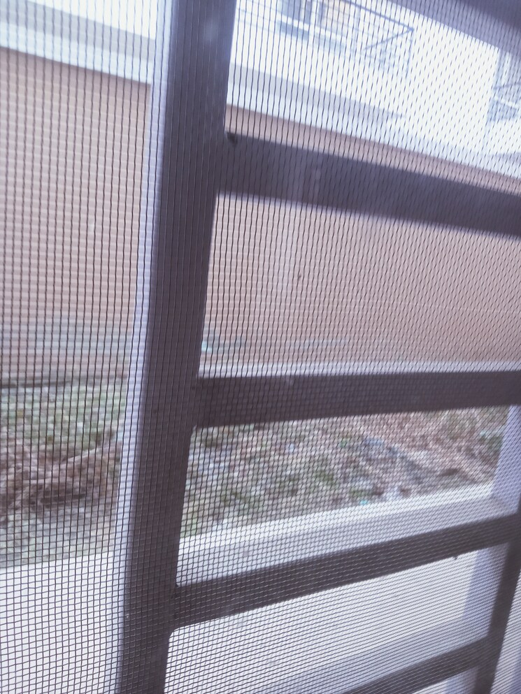 Swimming Pool, bptp-parkland-pride-phase-2 3 Bedroom 180 Sq.Yd. Builder Floor In Sector 77 Faridabad 7940773