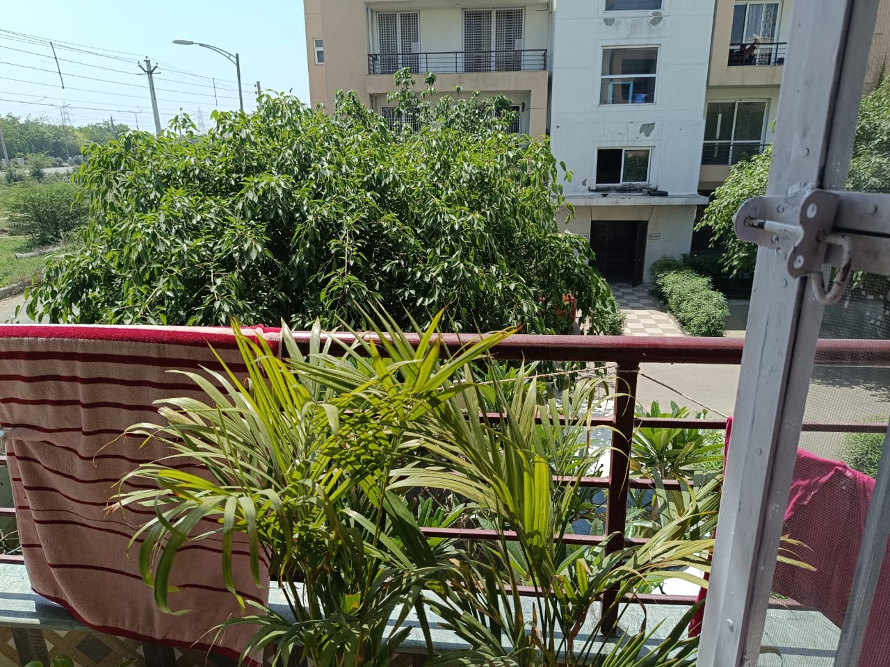 3 BHK 180 Sq.Yd. Builder Floor in BPTP Parkland Pride Phase 2