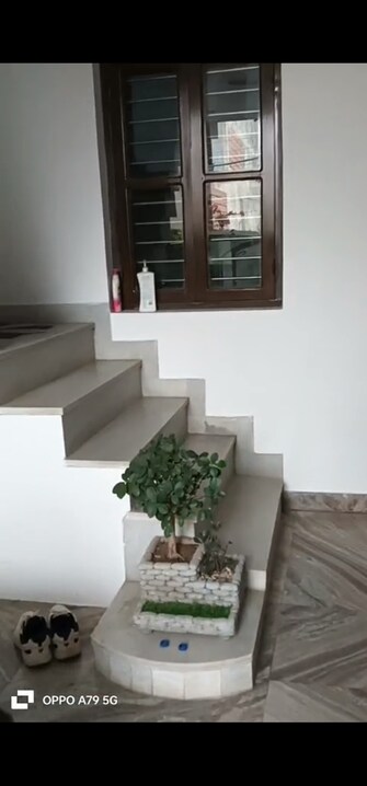 3 BHK Independent House For Resale in Nayagaon Chandigarh  7940935