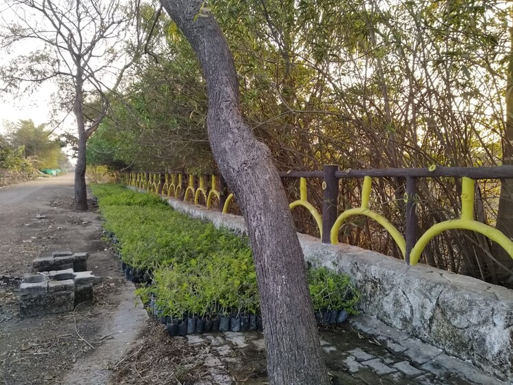 Exterior View, sejbahar  1000 Sq.Ft. Plot In Sejbahar Raipur 7940967