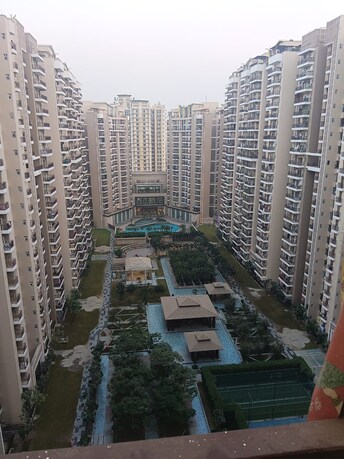 2.5 BHK Apartment For Resale in Ace Divino Noida Ext Sector 1 Greater Noida  7941214