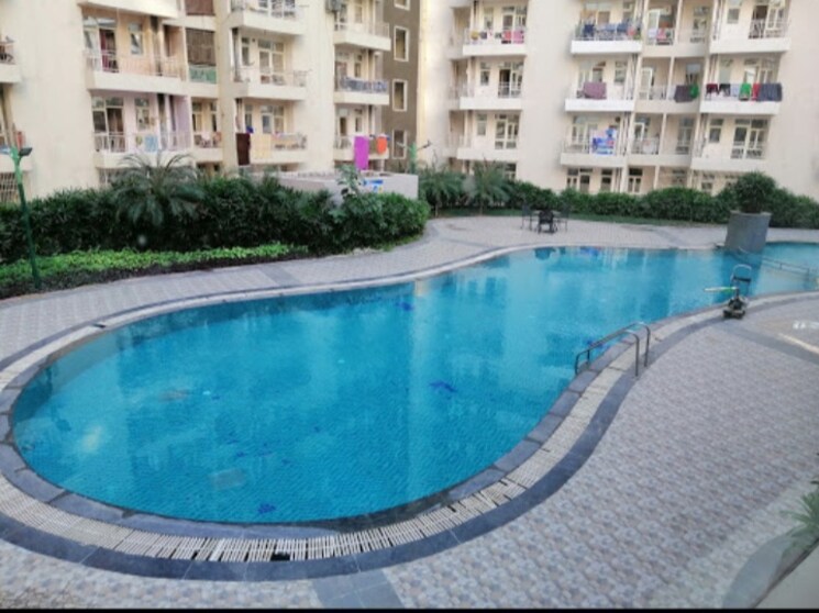 Swimming Pool, supertech-ecovillage-i 3 Bedroom 1267 Sq.Ft. Apartment In Sector 1 Greater Noida Greater Noida 7941212