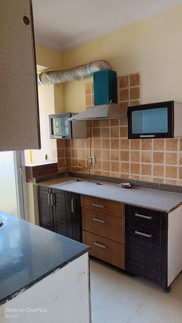 Kitchen in 3 BHK Apartment at Amrapali Eden Park, Sector 50 – for Rent