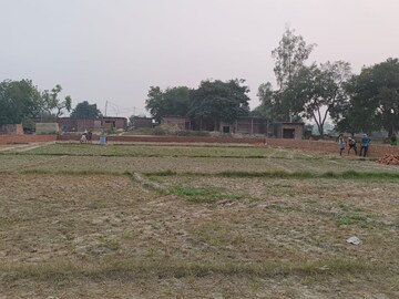 Plot Area in  Plot at Babatpur – for Sale