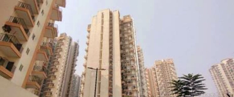 Master Bedroom, amrapali-leisure-park 2 Bedroom 955 Sq.Ft. Apartment In Amrapali Leisure Valley Greater Noida 7941271