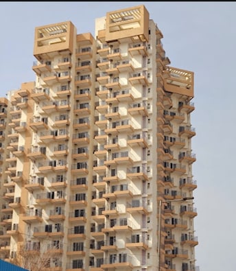 2 BHK Apartment For Resale in Amrapali Leisure Park Amrapali Leisure Valley Greater Noida  7941271