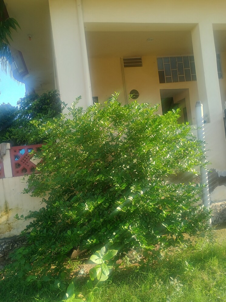 Other, bajaj nagar  142 Sq.Yd. Plot In Bajaj Nagar Jaipur 7941401