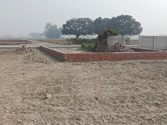 Plot For Resale in Mohan Road Lucknow  6564703