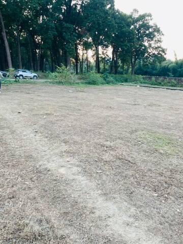  Plot For Sale in Shimla Bypass Road