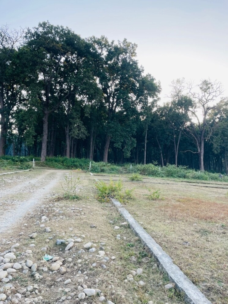undefined, shimla bypass road  88 Sq.Yd. Plot In Shimla Bypass Road Dehradun 7942386