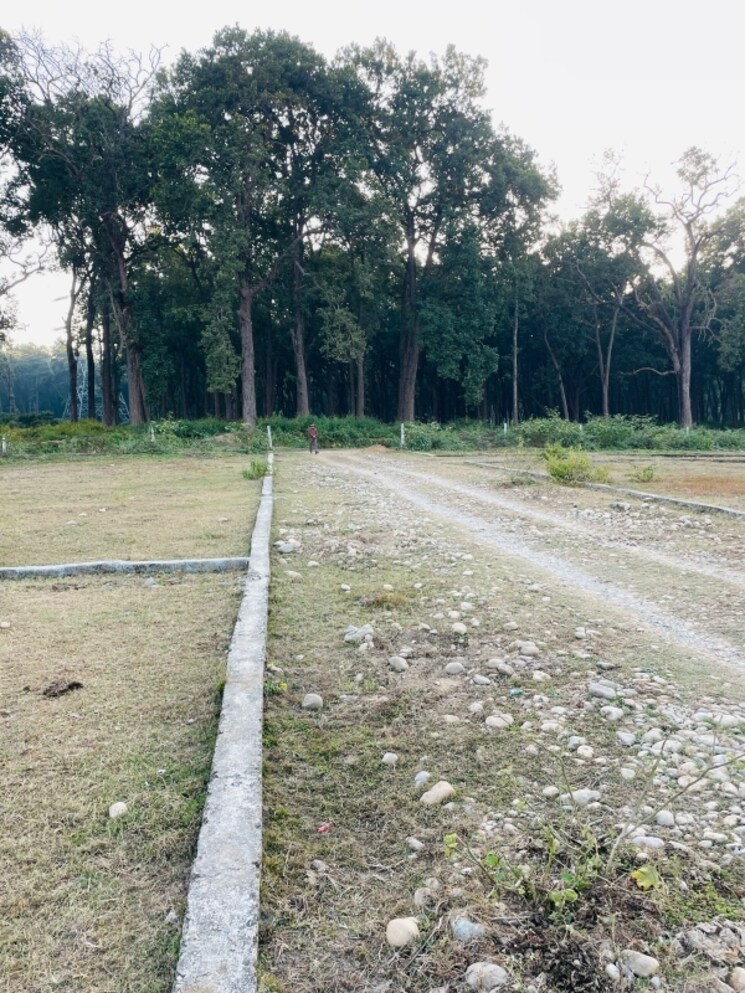 Exterior View, shimla bypass road  88 Sq.Yd. Plot In Shimla Bypass Road Dehradun 7942436