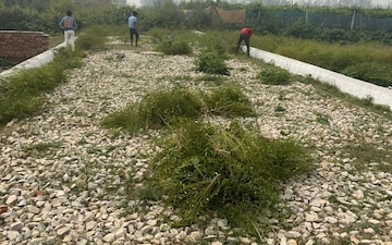 Plot For Sale in Bakkas