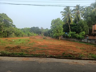 Plot For Resale in Akathiyoor Thrissur  7942756