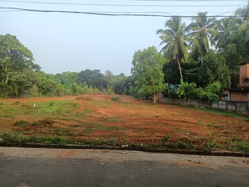 Plot Area in  Plot at Akathiyoor – for Sale