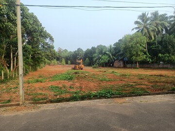 Plot Area in  Plot at Akathiyoor – for Sale