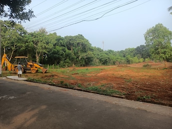 Plot For Resale in Akathiyoor Thrissur  7942756