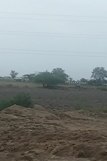 Plot Area in  Plot at Dholera – for Sale