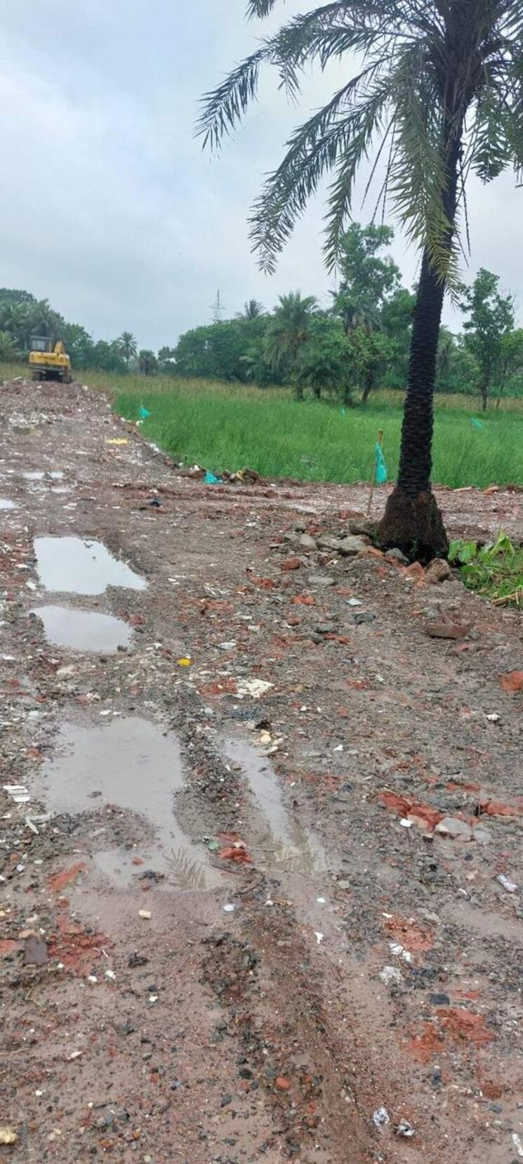 undefined, joka  1440 Sq.Ft. Plot In Joka Kolkata 7943042