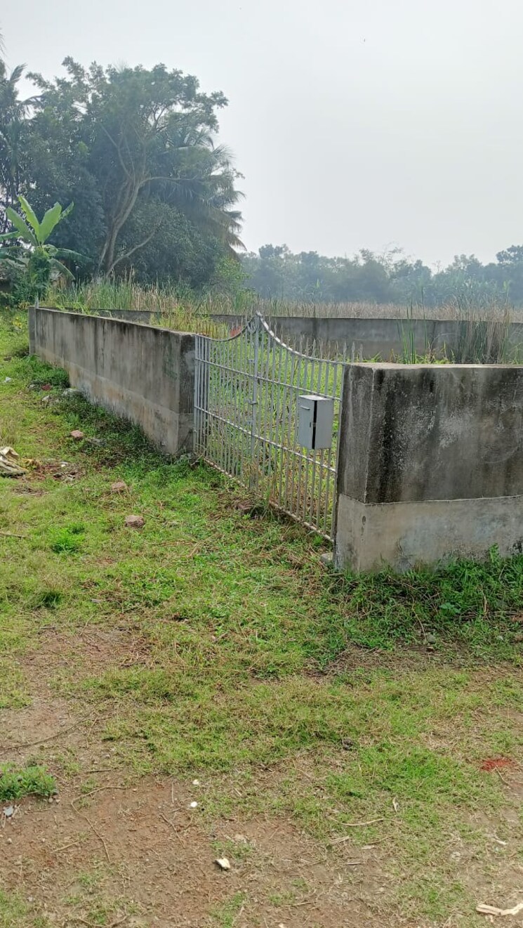 undefined, joka  1440 Sq.Ft. Plot In Joka Kolkata 7943042