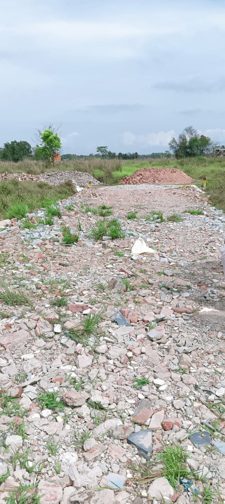 undefined, joka  1440 Sq.Ft. Plot In Joka Kolkata 7943042