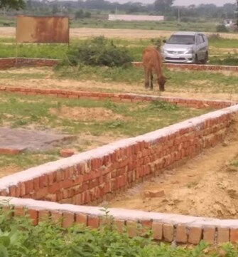 Plot For Resale in Deri Skaner Greater Noida  7943109