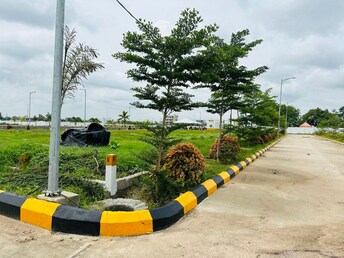 Plot For Resale in Nature City Kadthal Kadthal Hyderabad  7943125