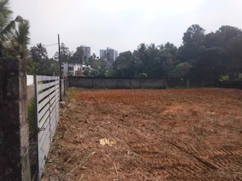 Plot For Resale in Kakkanad Kochi  7943233