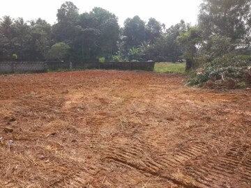 Plot Area in  Plot at Kakkanad – for Sale