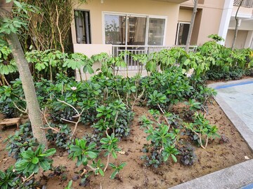 Master Bedroom in 2 BHK Apartment at Amrapali Silicon City, Sector 76 – for Sale