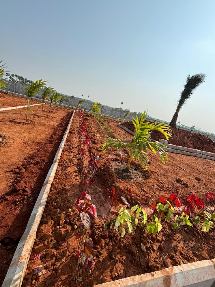 undefined, sri-bhumi-eeshaanya  184 Sq.Yd. Plot In Kankipadu Vijayawada 7944349