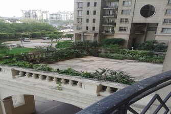 3 BHK Apartment For Rent in DLF Hamilton Court Sector 27 Gurgaon  7945479