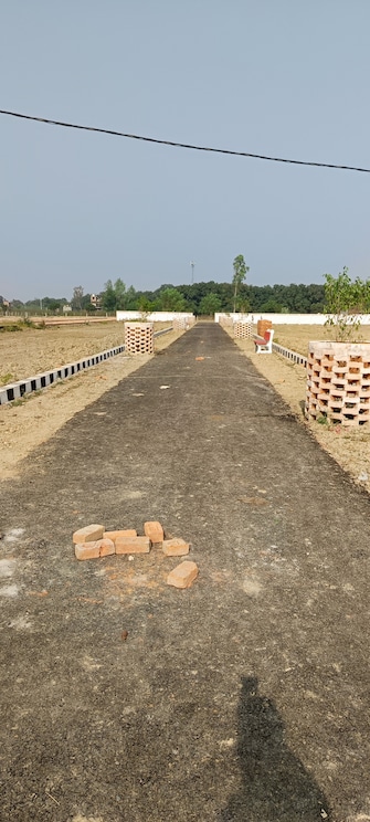 Plot For Resale in Bakhshi Ka Talab Lucknow  7945633